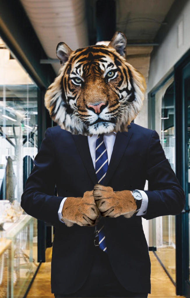 Business Tiger