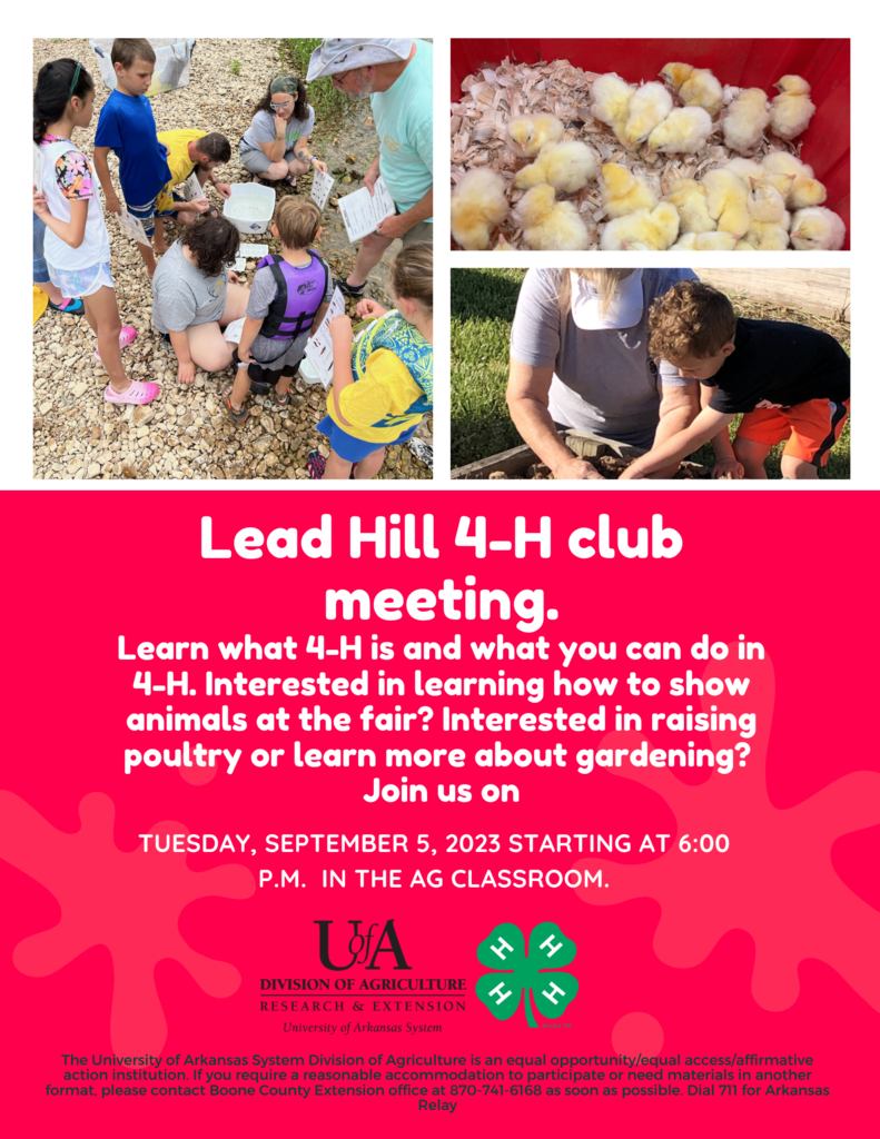 4H Meeting